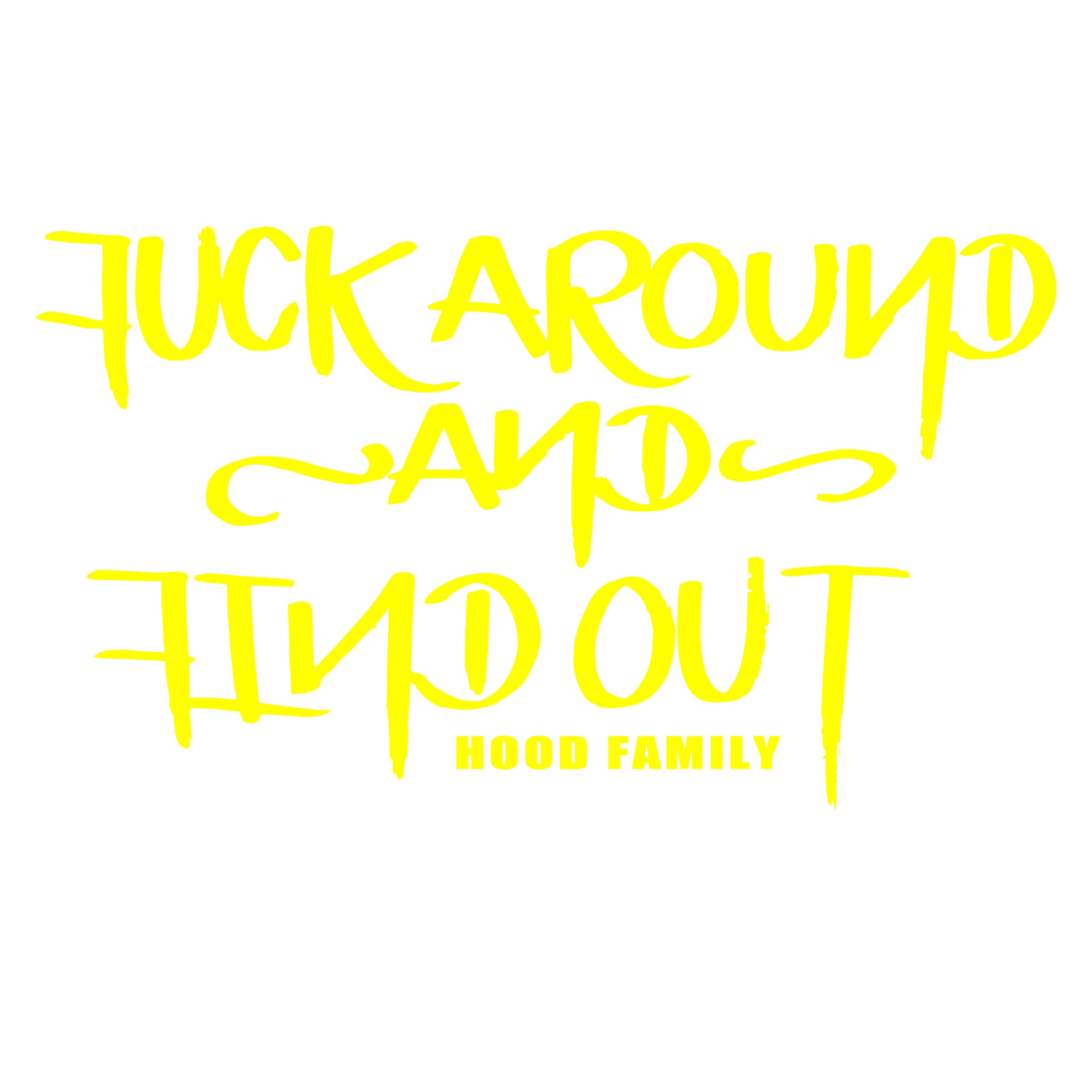 Fuck Around and Find Out Vinyl Bumper Sticker Political Sticker FREE  SHIPPING 