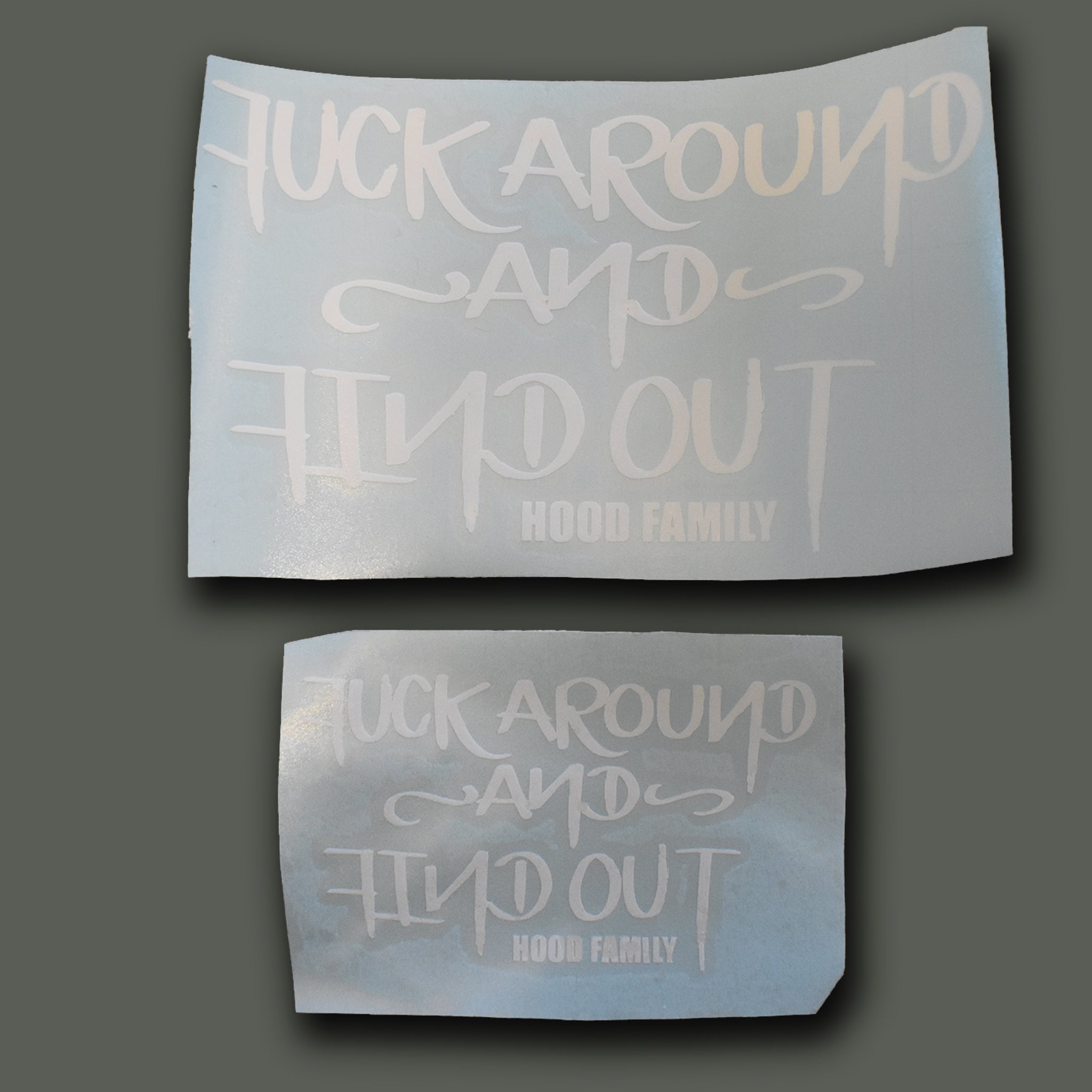 Fuck Around and Find Out Vinyl Bumper Sticker Political Sticker FREE  SHIPPING 